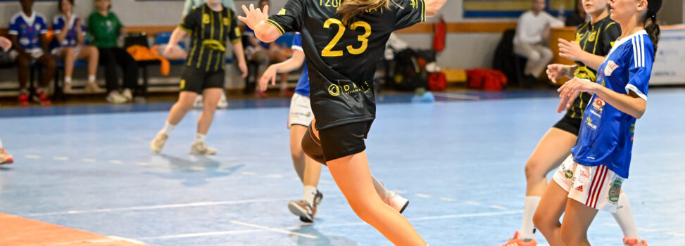 Χάντμπολ Γυναικών: Ο ΑΡΗΣ υποδέχεται στη Μίκρα τον ΑΟ Προσοτσάνης (15/11-20:30)