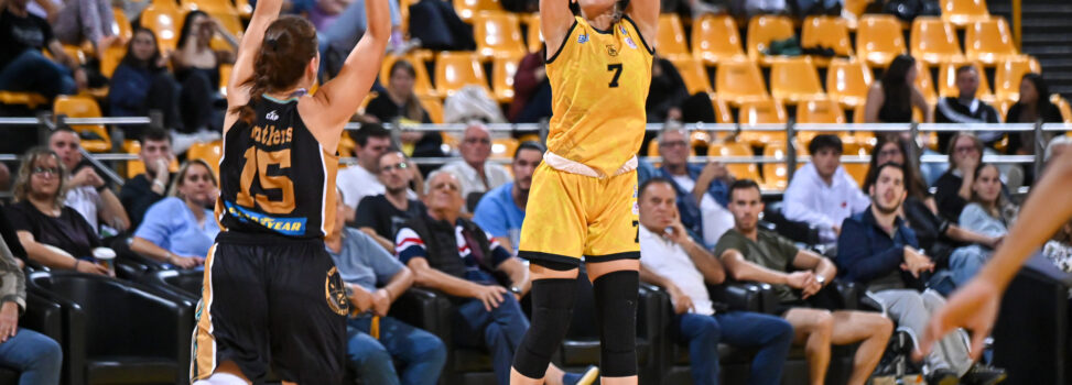 Μπάσκετ Γυναικών: Ντέρμπι κορυφής με τους Πάνθηρες Καβάλας για το «5 στα 5»