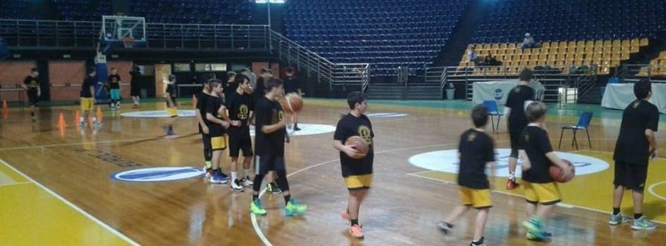 Το πρόγραμμα του ARIS Basketball Training Camp