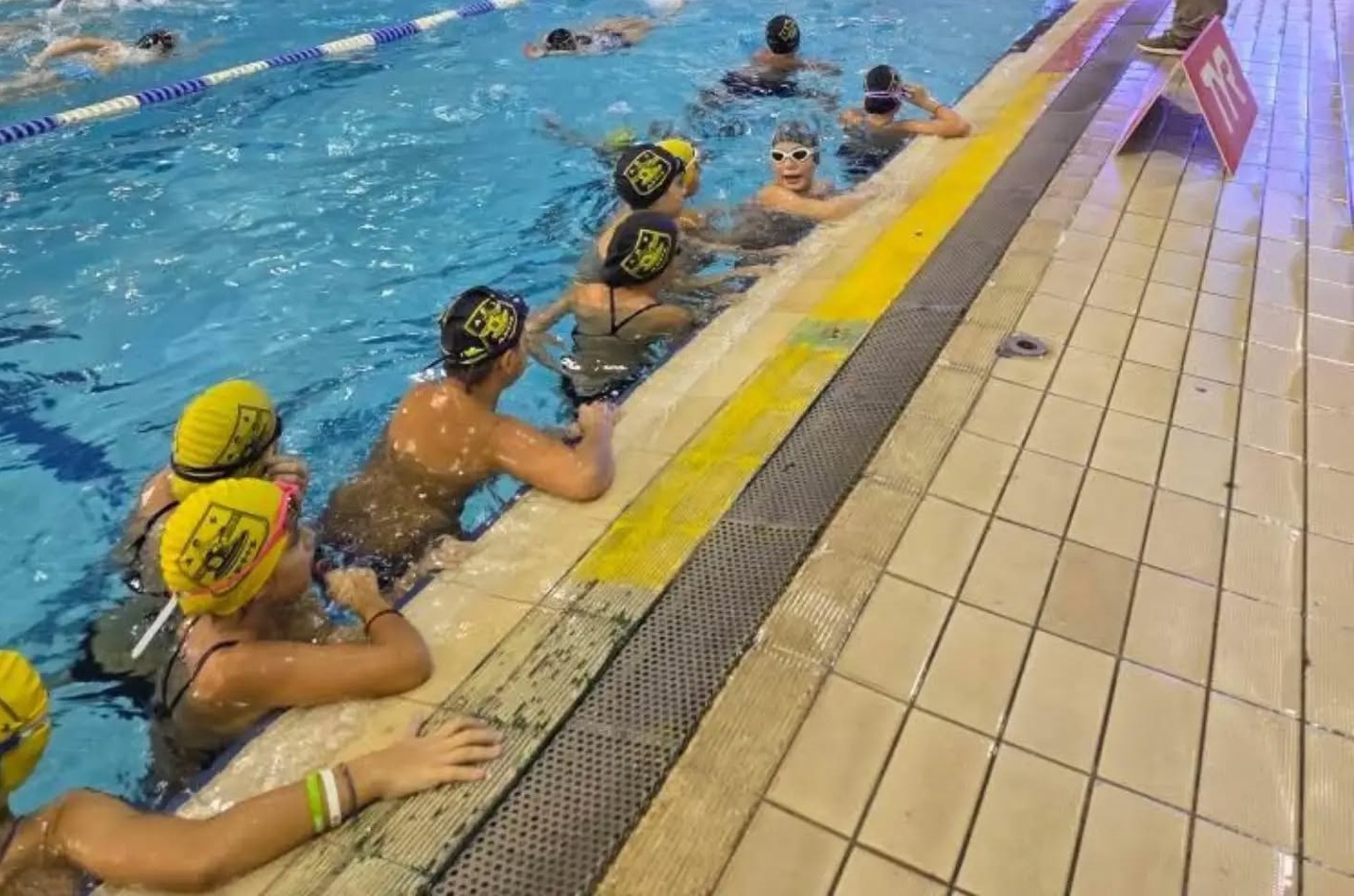 Κολύμβηση: Μετάλλια και διακρίσεις στα «Αλεξάνδρεια Τζούνιορ 2025» (pics)